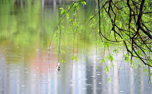 【致兴立群】雨天温馨提示
